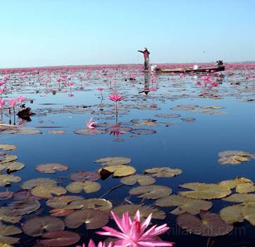 Free transportation transfer to Red Lotus Lake